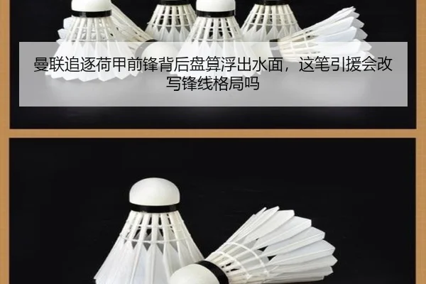 曼联追逐荷甲前锋背后盘算浮出水面，这笔引援会改写锋线格局吗